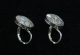 Gorgeous Blue, Polished Dinosaur Bone (Gembone) Earrings #54102-1